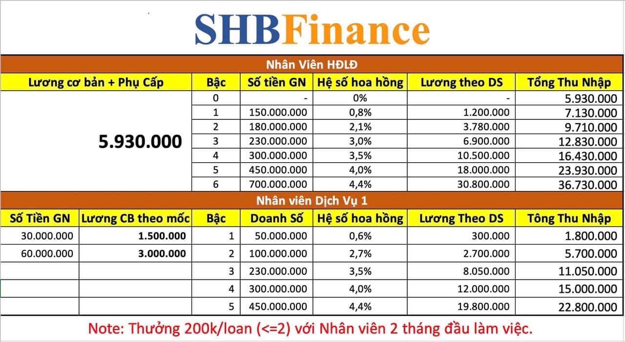 lĩnh vực hoạt động